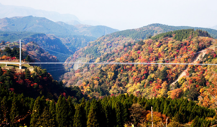 ใบไม้เปลี่ยนสี, สะพานแขวนโคะโคะโนะเอะ ยูเมะ, โออิตะ