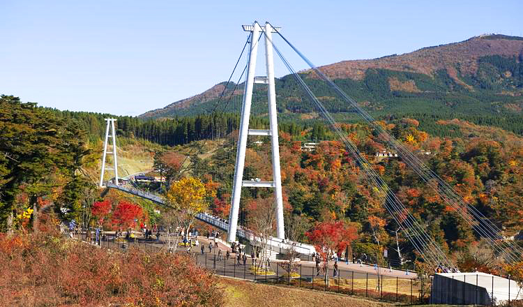 ใบไม้เปลี่ยนสี, สะพานแขวนโคะโคะโนะเอะ ยูเมะ, โออิตะ