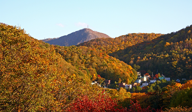 ใบไม้เปลี่ยนสี, ภูเขาโมอิวะ, ซัปโปโร