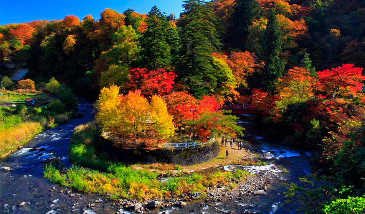 ใบไม้เปลี่ยนสี, ภูเขานากาโนะ-โมมิจิ, อาโอโมริ