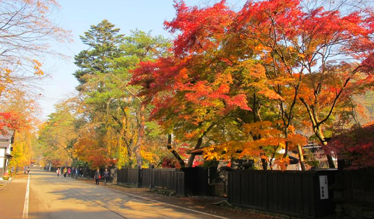 ใบไม้เปลี่ยนสี, หมู่บ้านซามูไรคาคุโนะดาเตะ, อากิตะ