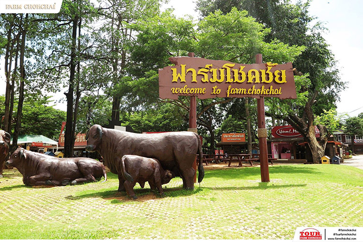 ร้านโชคชัยสเต็กเฮ้าส์, ฟาร์มโชคชัย เขาใหญ่, ร้านอาหารเขาใหญ่