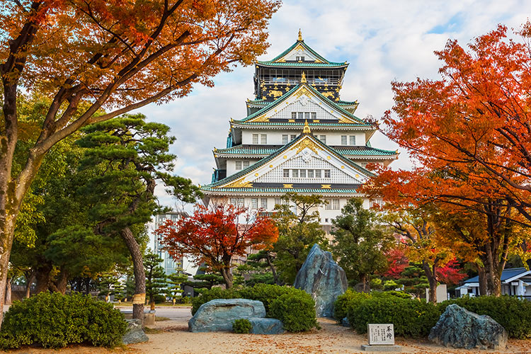 ปราสาทโอซาก้า Osaka Castel ใบไม้เปลี่ยนสี ญี่ปุ่น, โอซาก้า