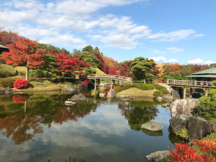 Daisen Park ใบไม้เปลี่ยนสี ญี่ปุ่น, โอซาก้า
