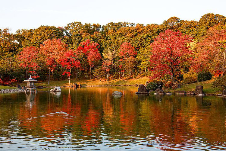 Expo 70 Commemorative Park ใบไม้เปลี่ยนสี ญี่ปุ่น, โอซาก้า