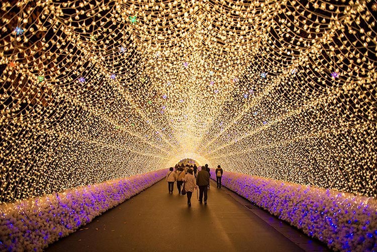 Nabana No Sato Winter Illumination