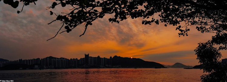 จุดถ่ายรูปในฮ่องกง Quarry Bay Park จุดถ่ายรูปฮ่องกง, Quarry Bay Park