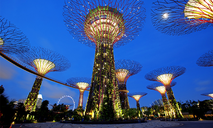 Garden by the Bay