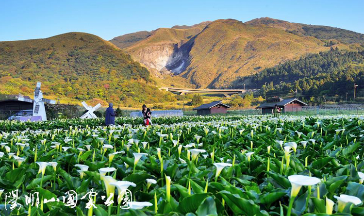 อุทยานแห่งชาติหยางหมิงซาน อุทยานแห่งชาติหยางหมิงซาน ไทเป ไต้หวัน