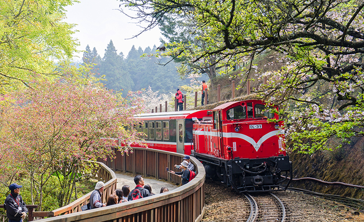 เขตอนุรักษ์เทือกเขาอาหลีซัน (Alishan National Scenic Area) เทือกเขาอาหลีซัน, ไต้หวัน