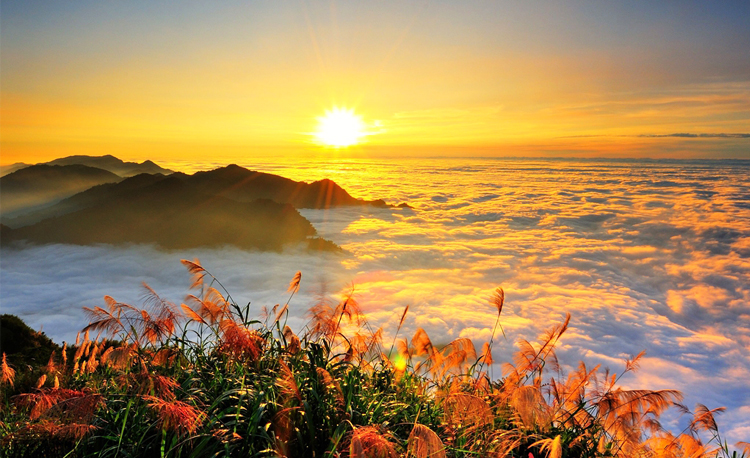 เขตอนุรักษ์เทือกเขาอาหลีซัน (Alishan National Scenic Area) เทือกเขาอาหลีซัน, ไต้หวัน