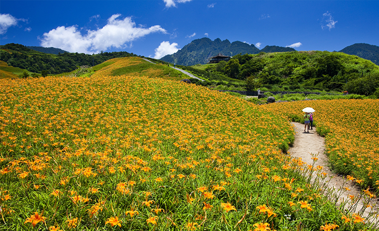 อุทยานแห่งชาติหุบเขาตะวันออก (East Rift Valley National Scenic Area) หุบเขาตะวันออก, ไต้หวัน