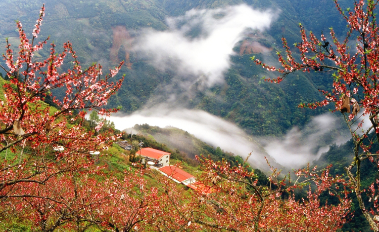 อุทยานแห่งชาติเสป้า (Shei-Pa National Park) อุทยานแห่งชาติเสป้า, ไต้หวัน
