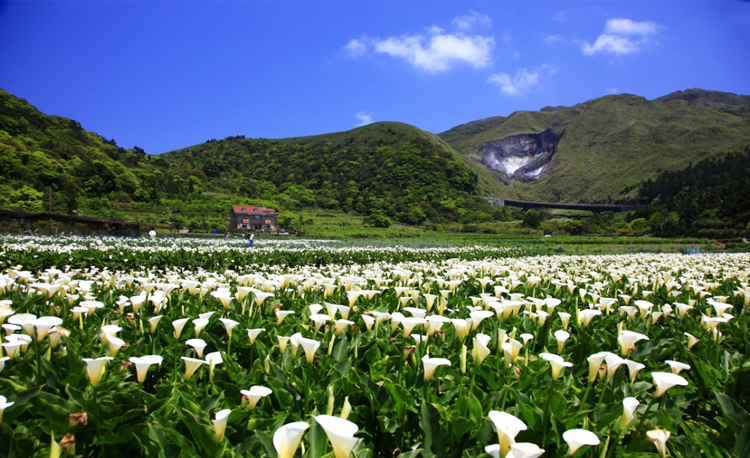 อุทยานแห่งชาติหยางหมิงซัน (Yangmingshan National Park) หยางหมิงซัน, ไต้หวัน