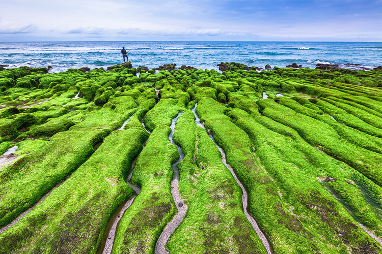 เลาเม่ย, Laomei Green Reef