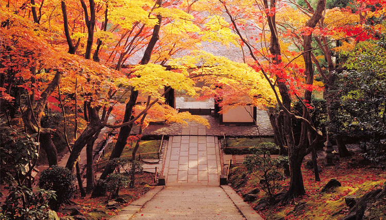 เกียวโต, ญี่ปุ่น Kyoto, Japan