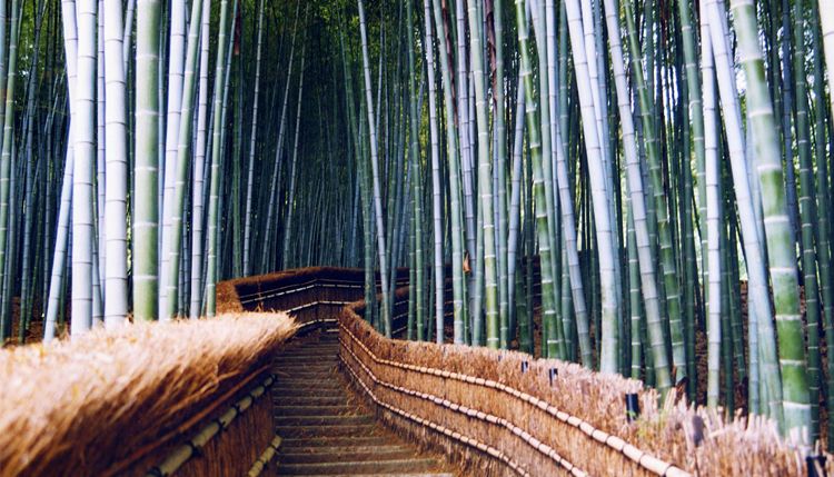เมืองเกียวโต, ญี่ปุ่น Kyoto, Japan เกียวโต, ญี่ปุ่น Kyoto, Japan