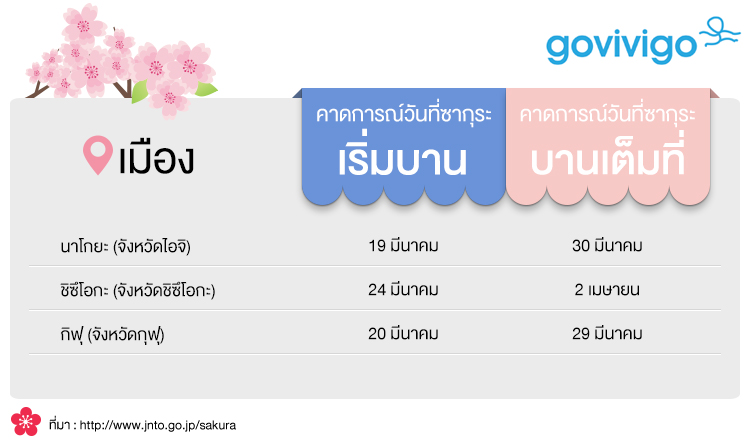 ซากุระบาน โทไค