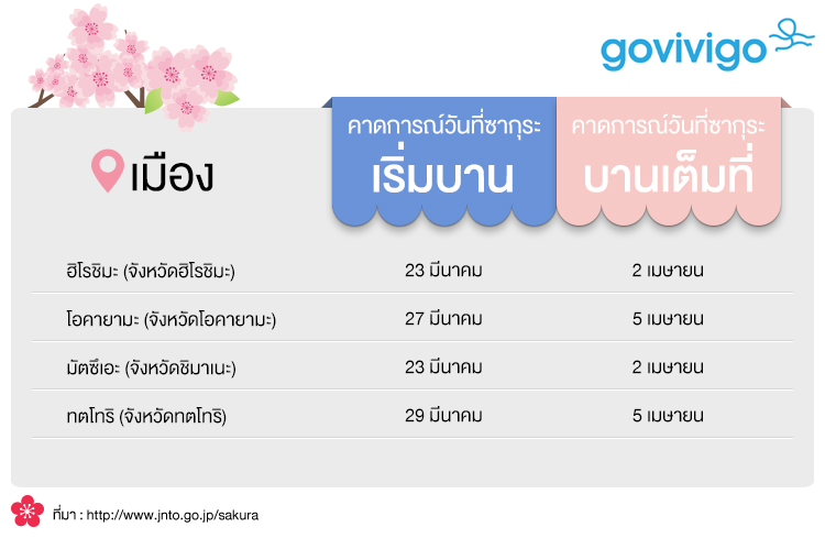 ซากุระบาน ชูโกกุ