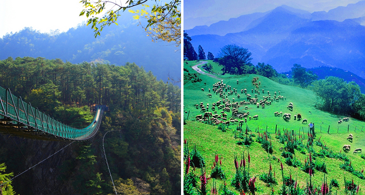 สถานที่เที่ยวไต้หวัน หนานโถว (Nantou) หนานโถว, เที่ยวไต้หวัน